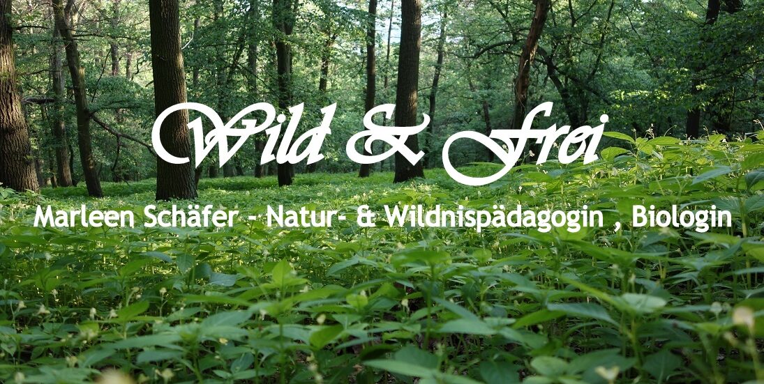 Wild und Frei